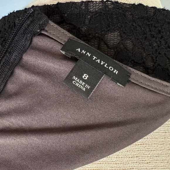 Ann Taylor lace & tweed peplum top in black gray & white Size 8 EUC - Picture 8 of 10